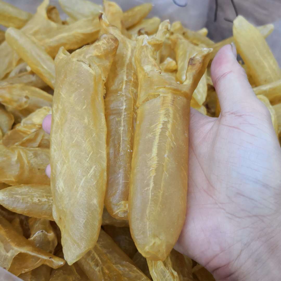 深圳鱼胶回收