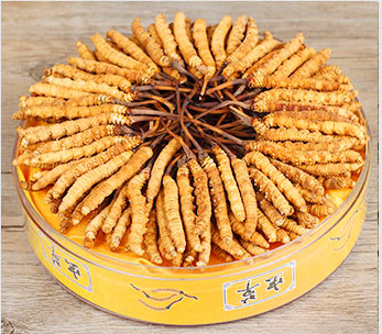 深圳虫草回收